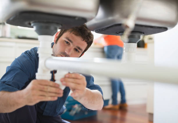Best Clogged Drain Plumber  in Crest Hl, IL