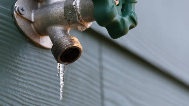 Best Residential Plumbing Services  in Crest Hl, IL