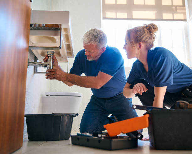Best Plumbing Inspection Services  in Crest Hl, IL